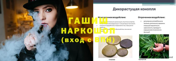 гидропоника Богданович
