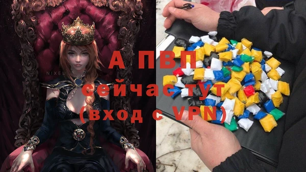таблы Бородино