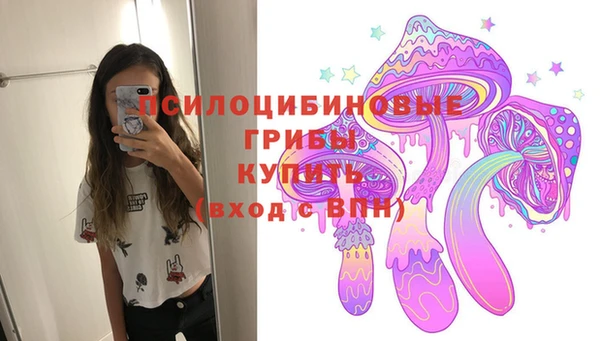 индика Балахна