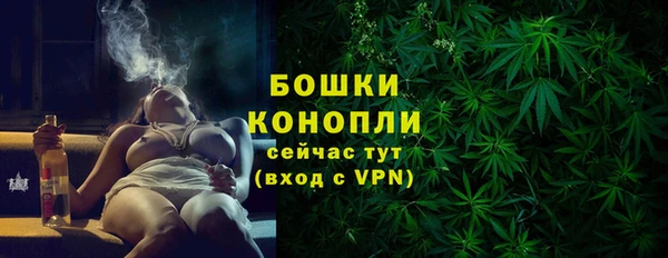 первитин Богородицк